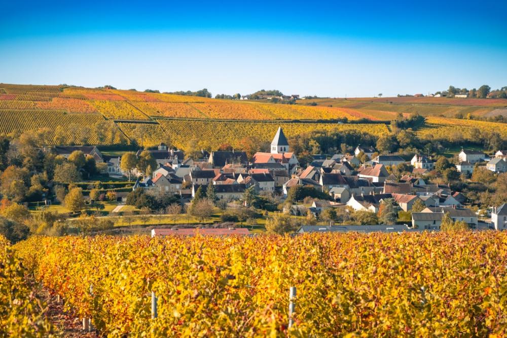Livets små glæder: Opdag Sancerre Hvidvinens Magi